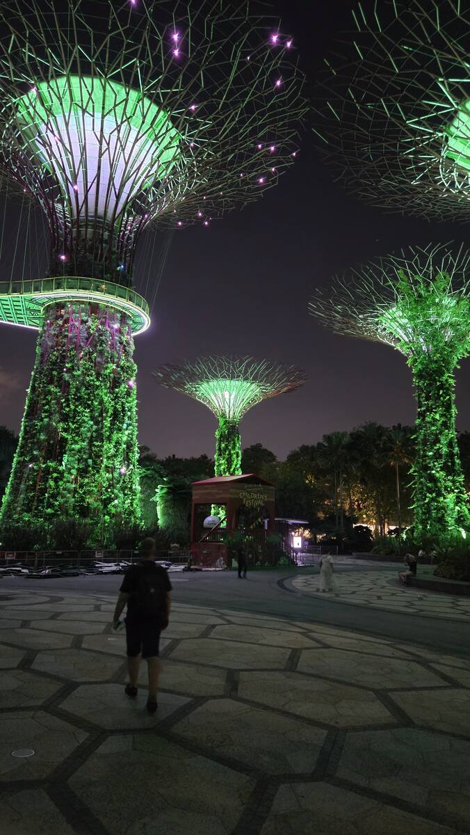 Supertrees w Gardens by the Bay