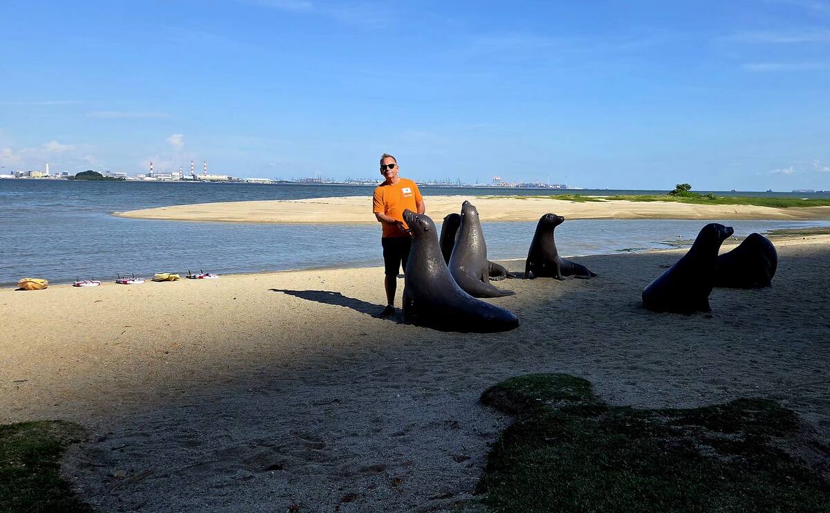 Plaża Forest City, na horyzoncie Singapur
