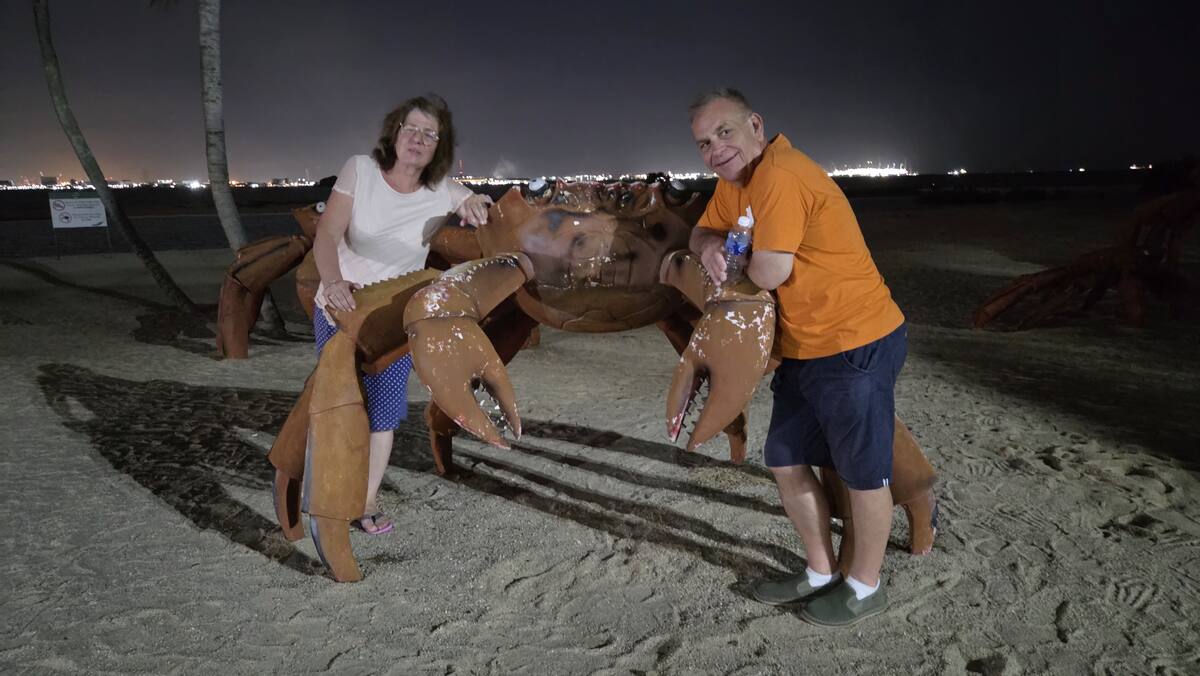 Rzeźby krabów na plaży nocą